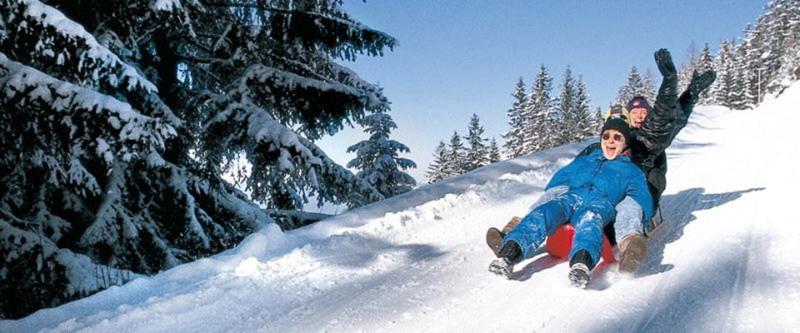 Family and Spa Hotel Alpenpark - Aktivite
