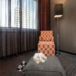 Sheraton Essen Hotel fotoÄŸrafÄ±