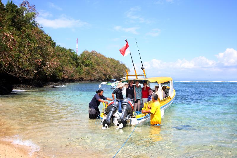 Bali Palms Resort - Genel