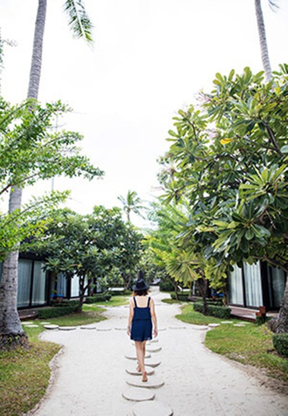 Homm Chura Samui - Genel