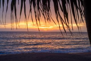 Le Méridien Phuket Mai Khao Beach Resort fotoÄŸrafÄ±