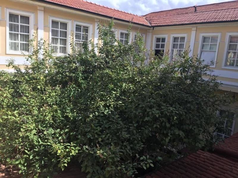 Antikhan Hotel - Genel