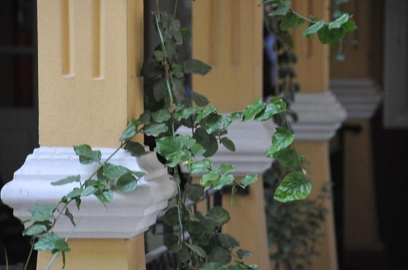 Antikhan Hotel - Genel
