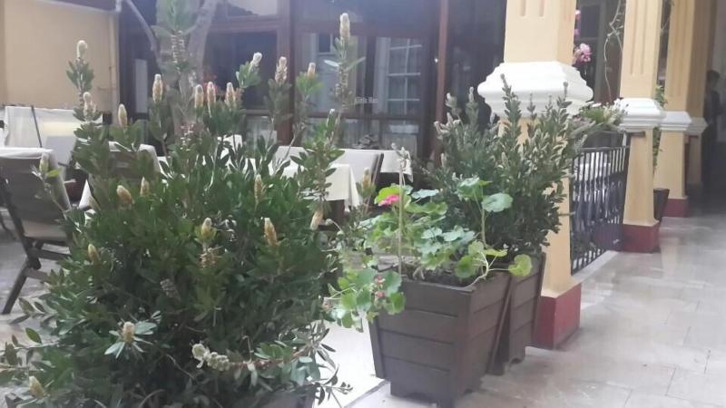 Antikhan Hotel - Teras