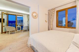 Hanedan Hotel fotoÄŸrafÄ±
