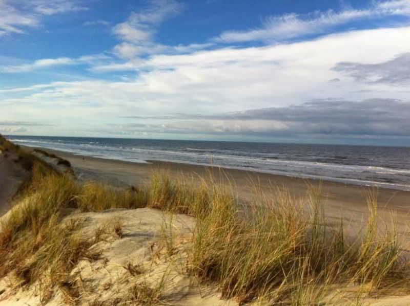 Paal 8 Hotel aan Zee fotoÄŸrafÄ±