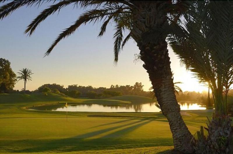 Tikida Golf Palace - Aktivite