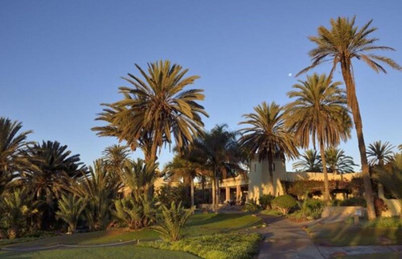 Tikida Golf Palace - Aktivite