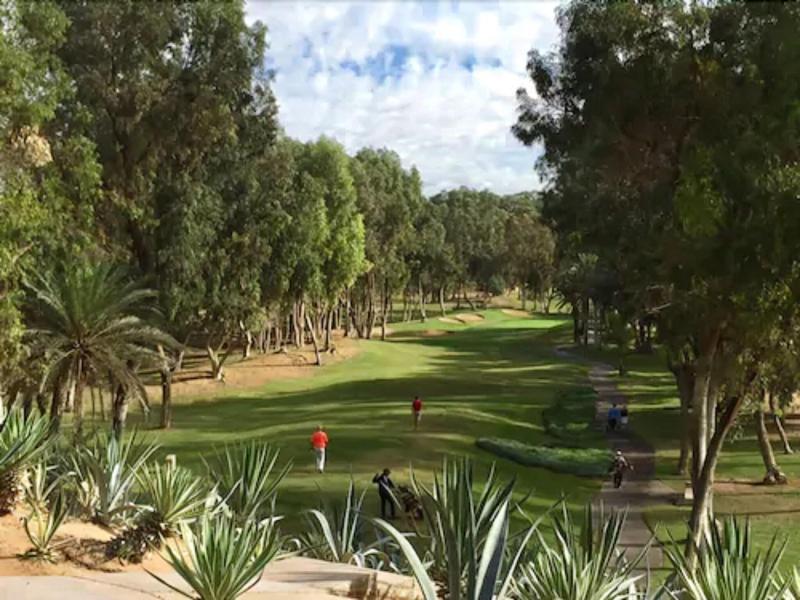 Tikida Golf Palace - Aktivite