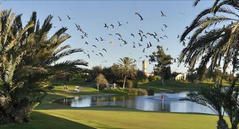 Tikida Golf Palace - Aktivite