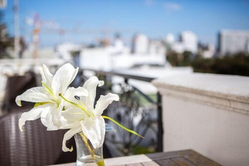 Hôtel Le Doge Casablanca - Oda