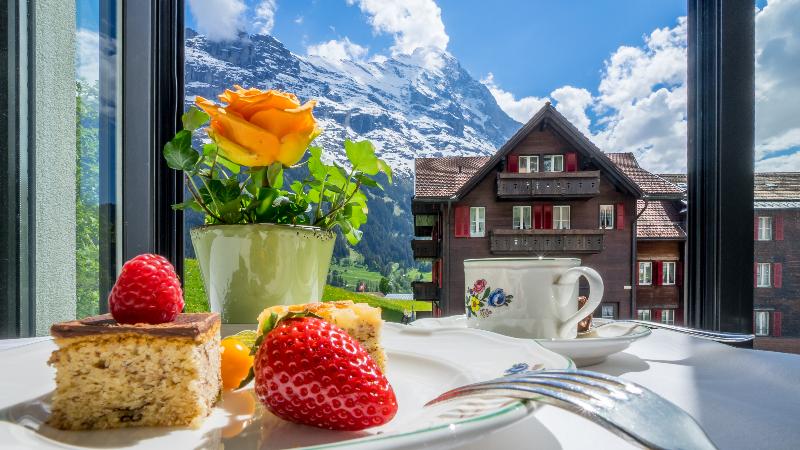 Romantik Schweizerhof Grindelwald - Toplantı