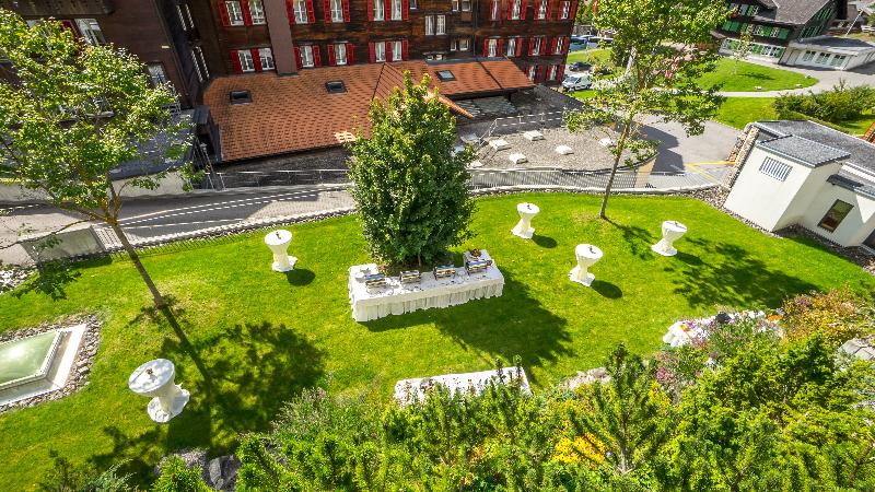 Romantik Schweizerhof Grindelwald - Toplantı
