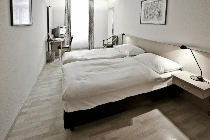Parkhotel du Sauvage - Oda