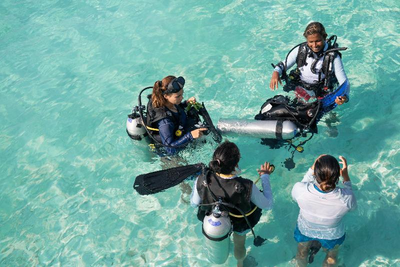 Nova Maldives - Aktivite