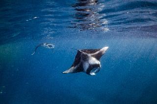 Nova Maldives fotoÄŸrafÄ±