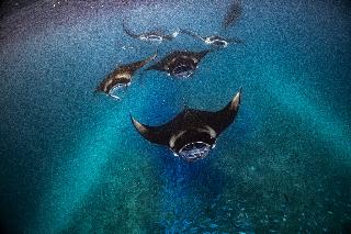 Nova Maldives fotoÄŸrafÄ±