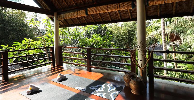 The Purist Villas Ubud - Aktivite
