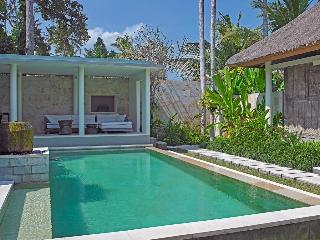 The Purist Villas Ubud fotoÄŸrafÄ±
