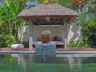 The Purist Villas Ubud fotoÄŸrafÄ±