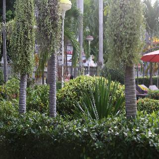 Romeo Palace fotoÄŸrafÄ±