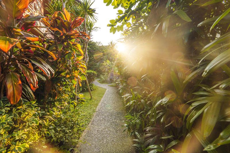 Rama Phala Resort & Spa - Genel