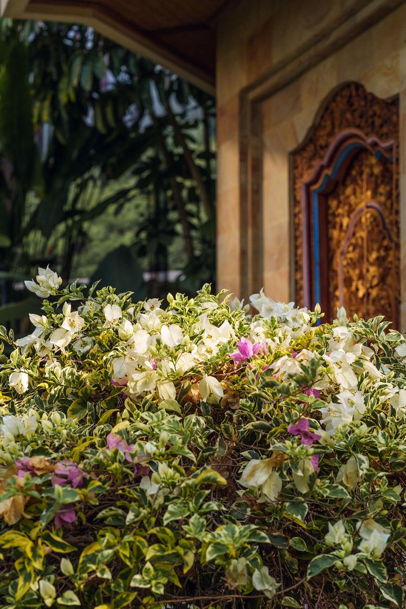 Rama Phala Resort & Spa - Genel