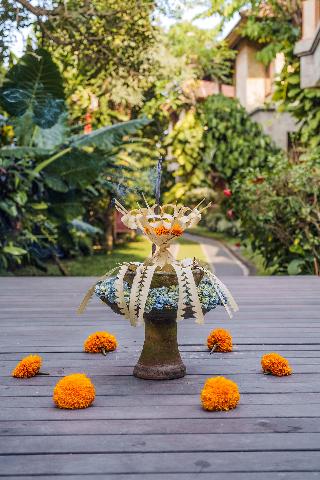Rama Phala Resort & Spa fotoÄŸrafÄ±