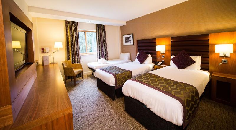 Drayton Manor Hotel - Oda