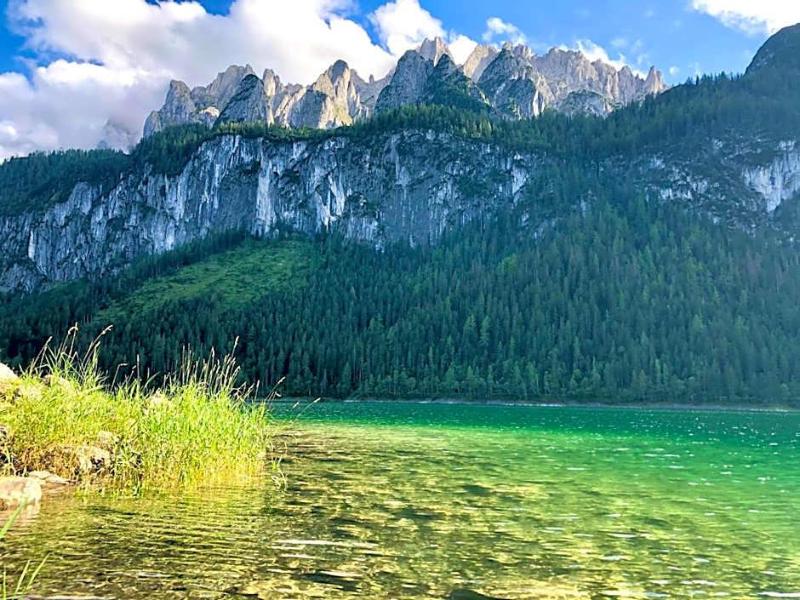 Vitalhotel Gosau - Oda