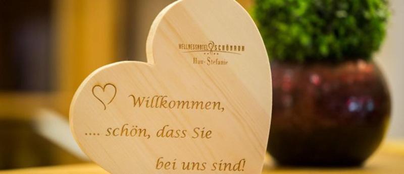 Wellnesshotel Schönruh - Lobi