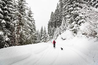 Arlmont fotoÄŸrafÄ±