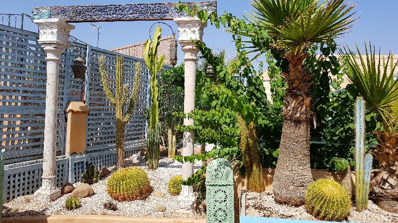 Riad Armelle - Teras