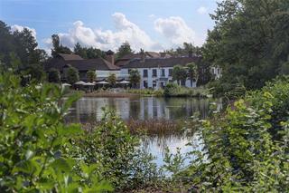 Frensham Pond Surrey fotoÄŸrafÄ±