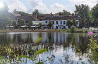 Frensham Pond Surrey fotoÄŸrafÄ±