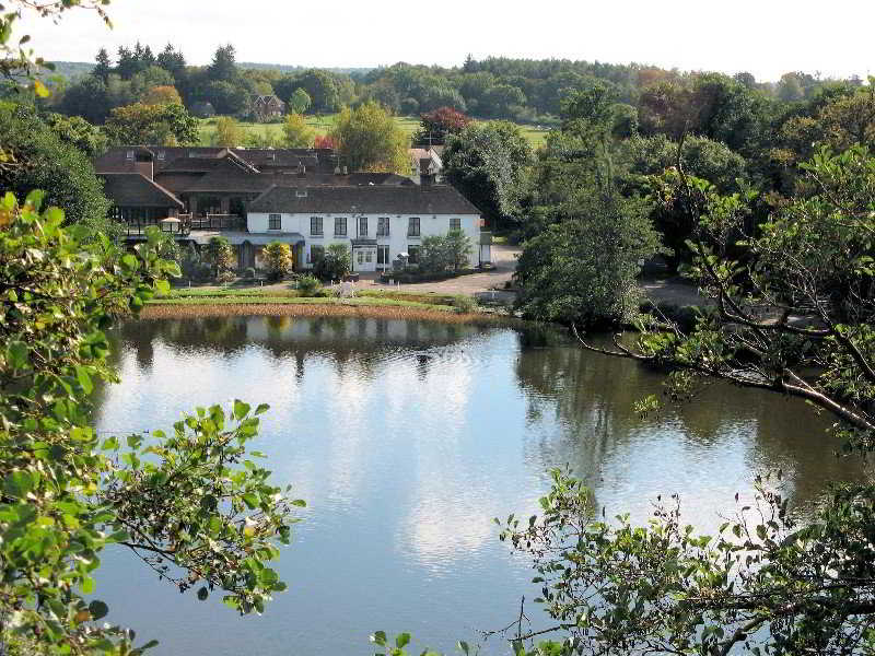 Frensham Pond Surrey otel fotoğrafı