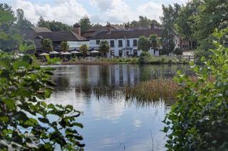 Frensham Pond Surrey fotoÄŸrafÄ±
