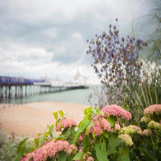 Citrus Hotel Eastbourne by Compass Hospitality fotoÄŸrafÄ±