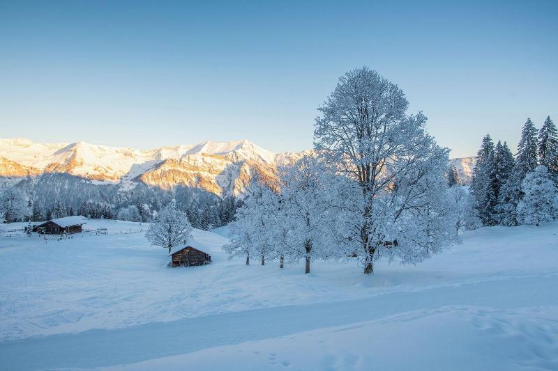 Brienz - Genel