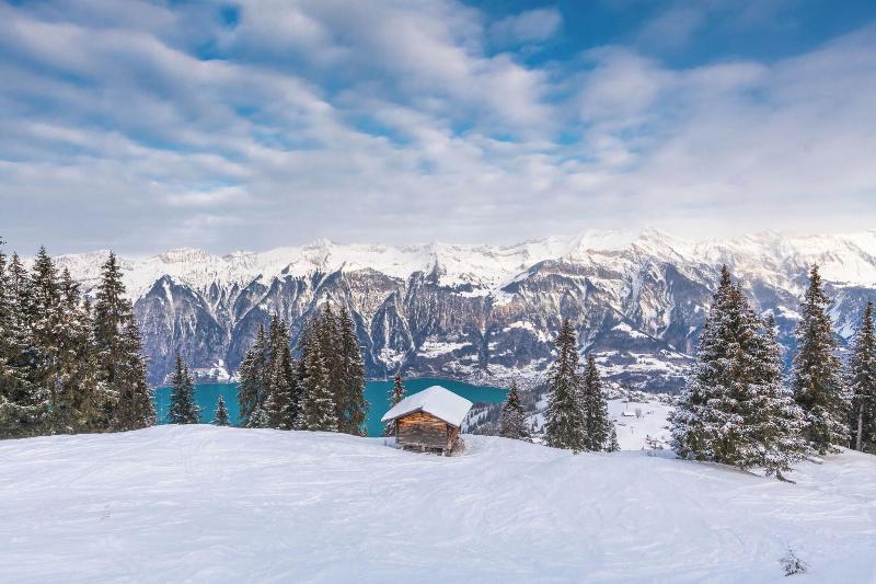 Brienz - Genel