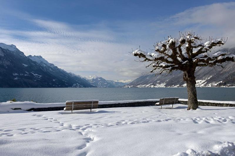 Brienz - Genel
