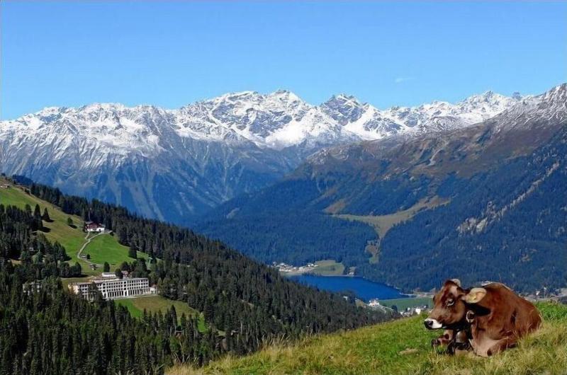 Schatzalp Snow & Mountain Resort - Genel