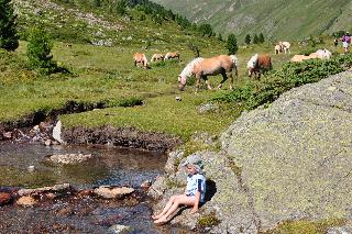 Naturparkhotel Kleon fotoÄŸrafÄ±