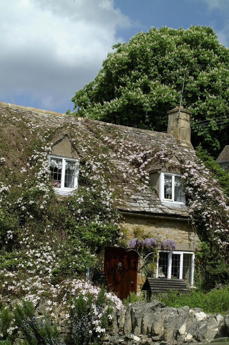 Three Ways House Hotel - Genel