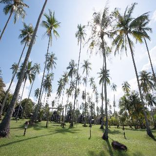 Koh Kood Beach Resort fotoÄŸrafÄ±