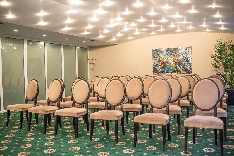 Carpathia Hotel - Toplantı