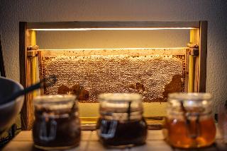 Carpathia Hotel fotoÄŸrafÄ±