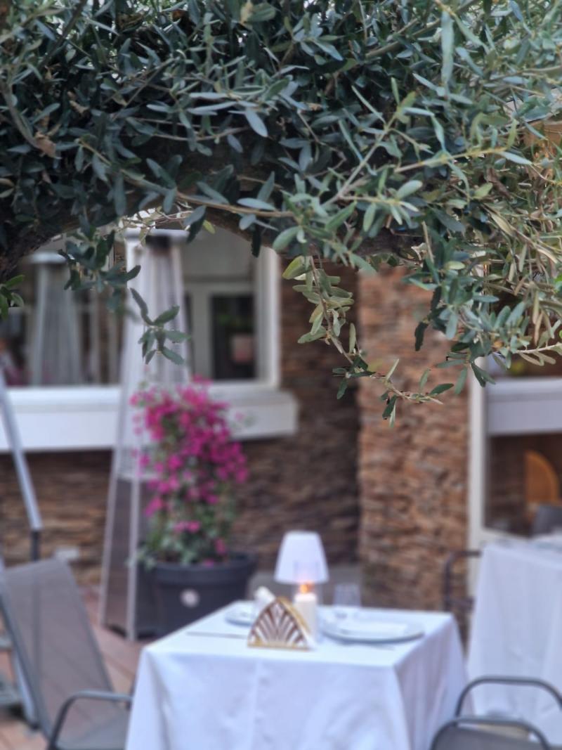 Carpathia Hotel - Teras