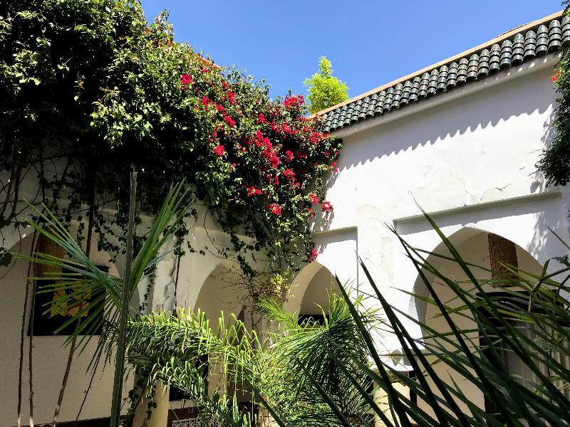 Riad Dar Zaman - Genel
