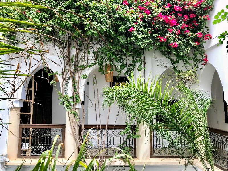 Riad Dar Zaman - Genel